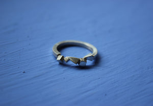 3D Section Ring